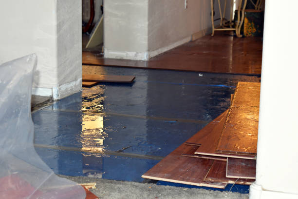 Professional Basement Flood Cleanup technician working in Kaufman, TX
